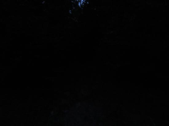 The Old Mountain Road trailhead