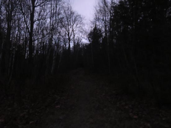 The Old Mountain Road trailhead