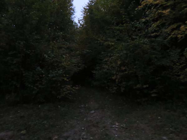 The Old Mountain Road trailhead