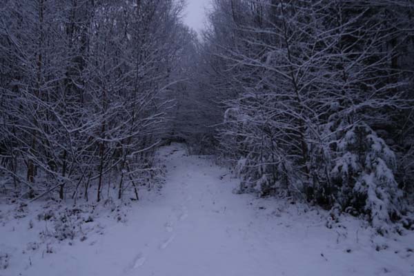 The Old Mountain Road trailhead