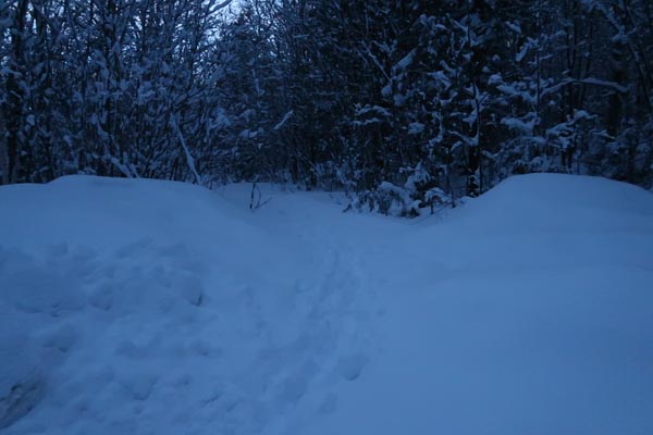 The Old Mountain Road trailhead