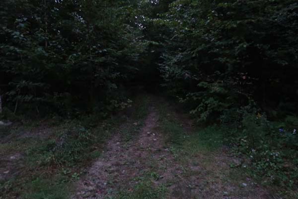 The Old Mountain Road trailhead