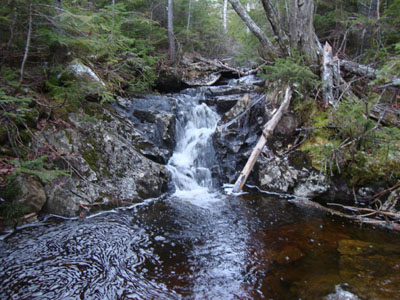 The upper Whiteface Brook below Duck Pond