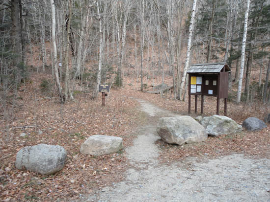 The Signal Ridge Trail trailhead