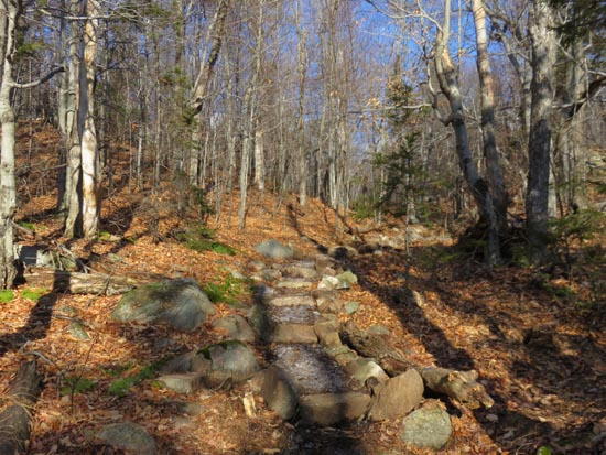The Round Pond Trail