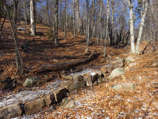The Round Pond Trail