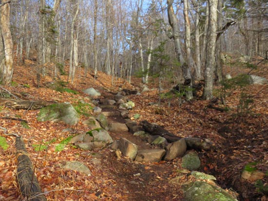 The Round Pond Trail