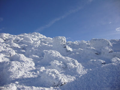 Looking up the Osgood Trail