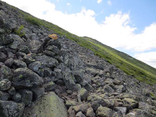 Looking up the Daniel Webster Scout Trail