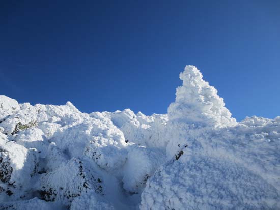 Looking up the Osgood Trail