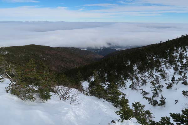 Looking down Valley Way on the way to Mt. Madison