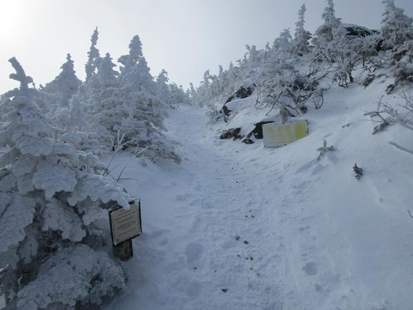 Looking up Valley Way on the way to Mt. Madison