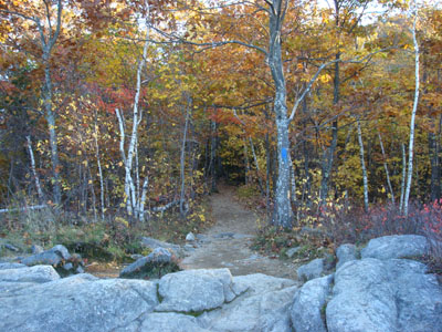 Looking down the Mt. Major Trail