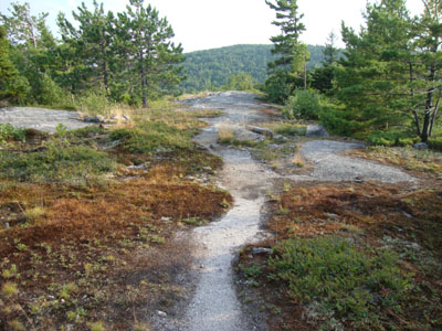The upper portion of the Beaver Pond Trail