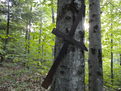 The cross cut saw blade on its eponymous trail