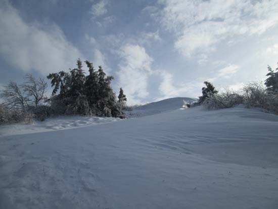 Looking up the Mt. Major Trail
