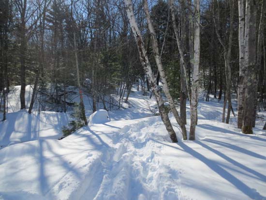 The Boulder Loop Trail trailhead at the back of the Route 11 parking lot