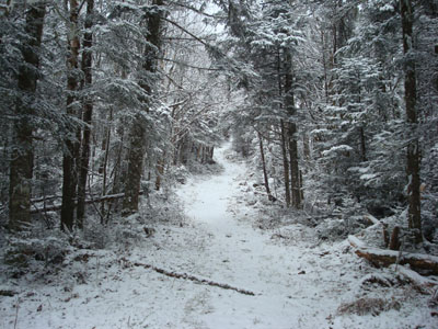 Looking down the Mt. Martha Spur Trail