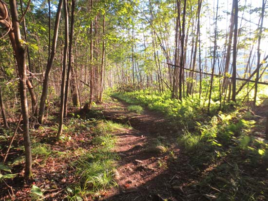 Looking down the Cherry Mountain Trail