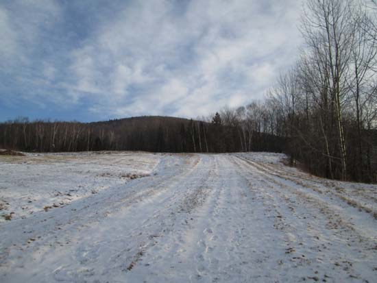 Near the start of the logging road off Herman Savage Road