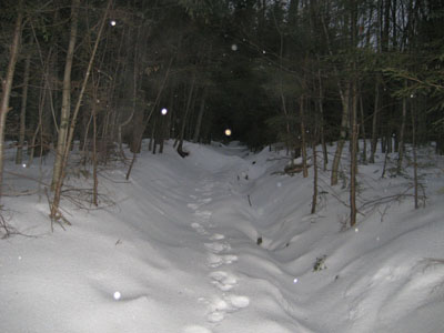 Looking up the Big Rock Cave Trail