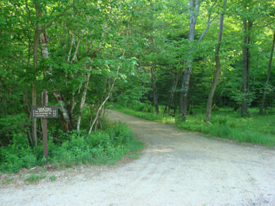 The Cabin Trail trailhead on Route 113A