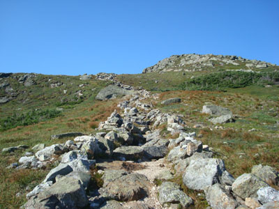 Looking up the Monroe Loop Trail