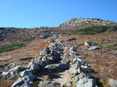 Looking up the Monroe Loop Trail