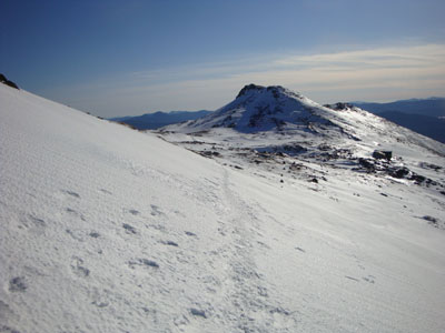 Looking down the Crawford Path on the way to Mt. Monroe