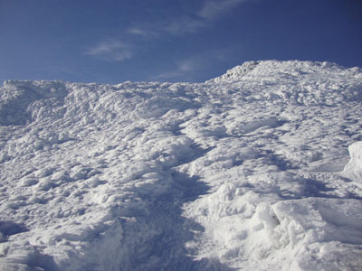 Looking up the Monroe Loop Trail