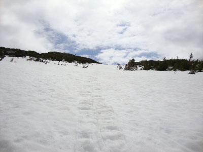 Looking up the Ammonoosuc Ravine Trail