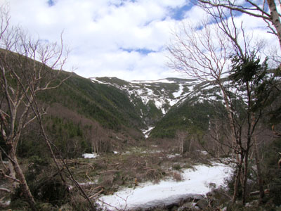 Avalanche debris as seen from the Ammonoosuc Ravine Trail