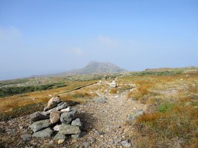 The Camel Trail on the way to Mt. Monroe