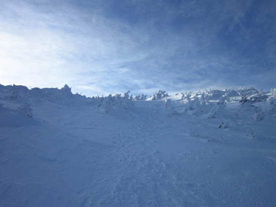 Looking up the Ammonoosuc Ravine Trail
