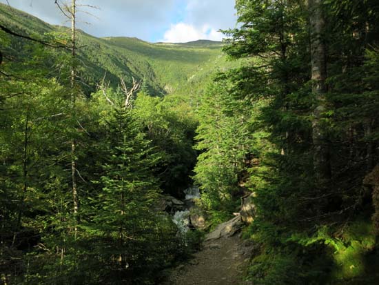Looking up the Ammonoosuc Ravine Trail