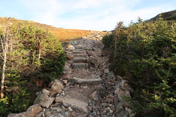 Looking up the recently rebuilt Crawford Path