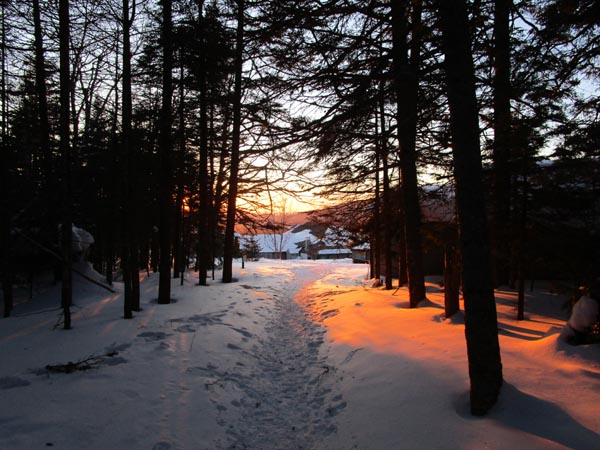 The bottom of the Ammonoosuc Ravine Trail