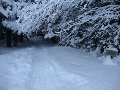 The trailhead near the Marshfield Base Station