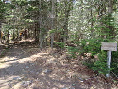 The trailhead near the Marshfield Base Station