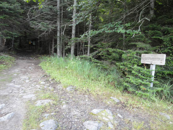 The trailhead for the Ammonoosuc Ravine Trail connector near the Marshfield Base Station
