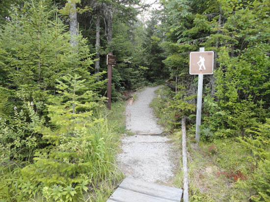 The Ammonoonusc Ravine Trail trailhead at the edge of the parking area