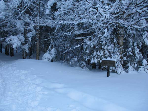 The trailhead near the Marshfield Base Station