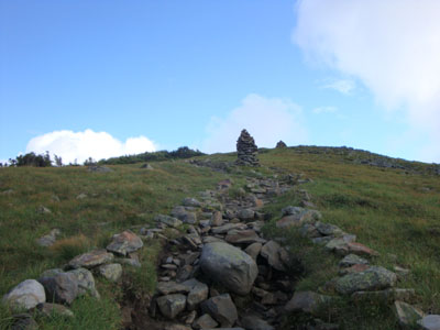 Looking up the Benton Trail on the way to the Mt. Moosilauke summit