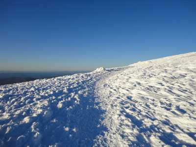 Looking up the Moosilauke Carriage Road on the way to the Mt. Moosilauke summit