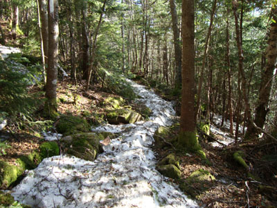 Looking down the Glencliff Trail on the way to the Mt. Moosilauke summit