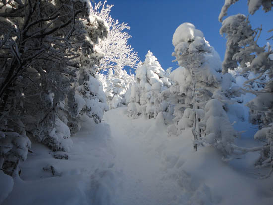 Looking up the Glencliff Trail