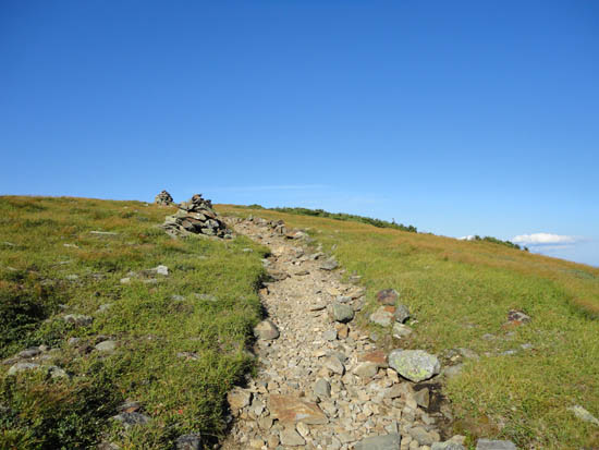 Looking up the Moosilauke Carriage Road near the Mt. Moosilauke summit