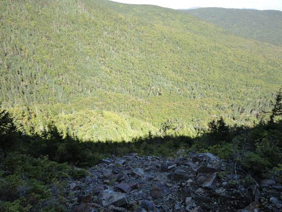 Looking down the abandoned Gorge Brook Slide Trail