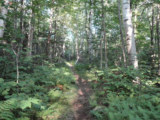 The Hurricane Trail