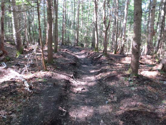 The Gorge Brook Trail reroute